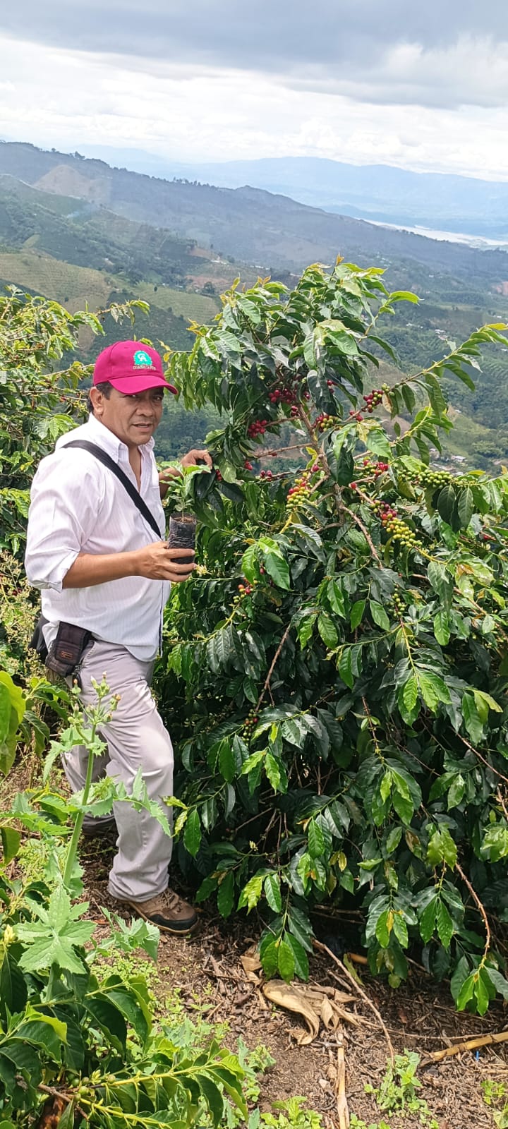 Angelo Sosa — Finca Altocielo