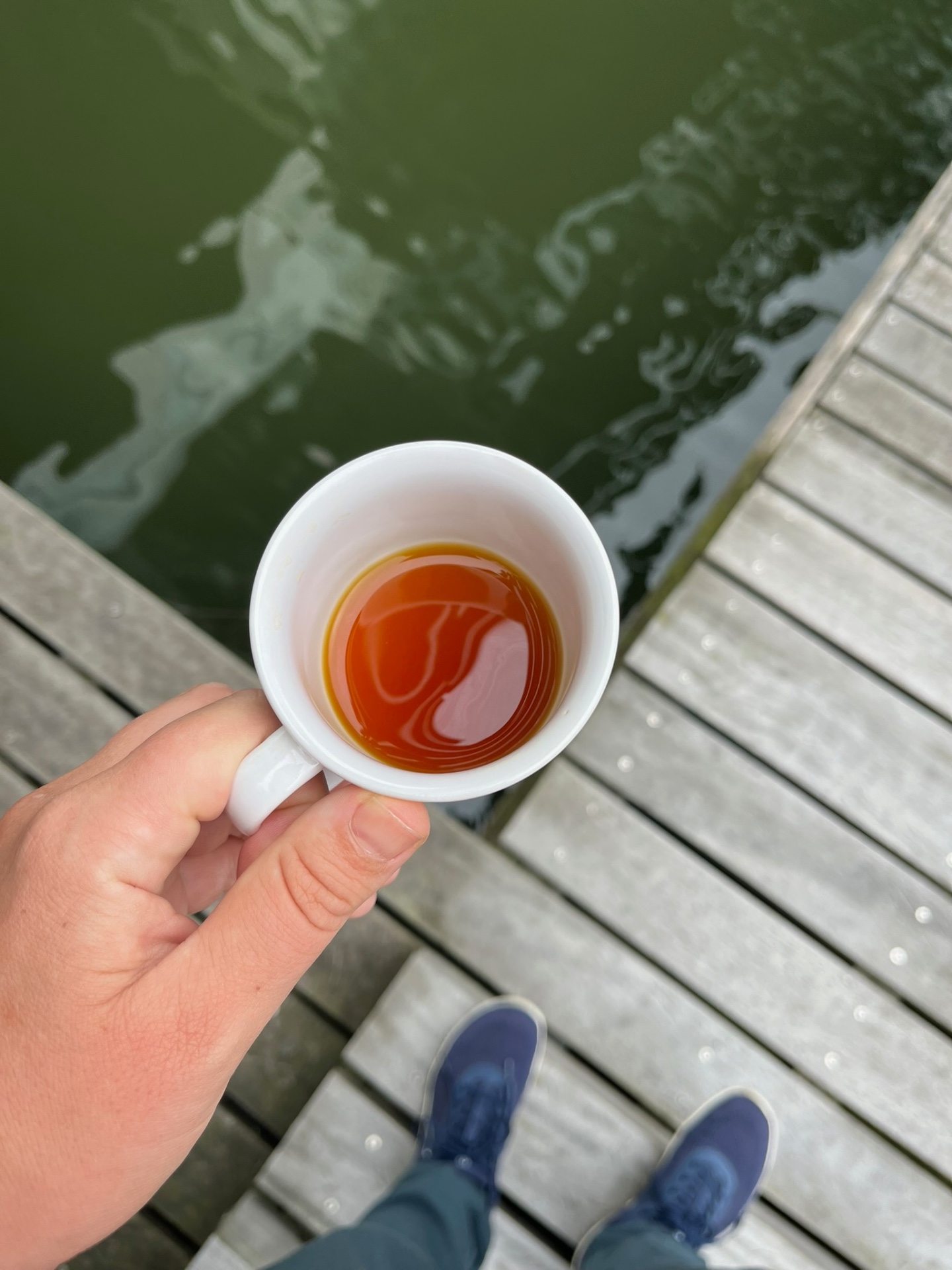 A small white cup of amber coffee held above the dark green water of the IJ