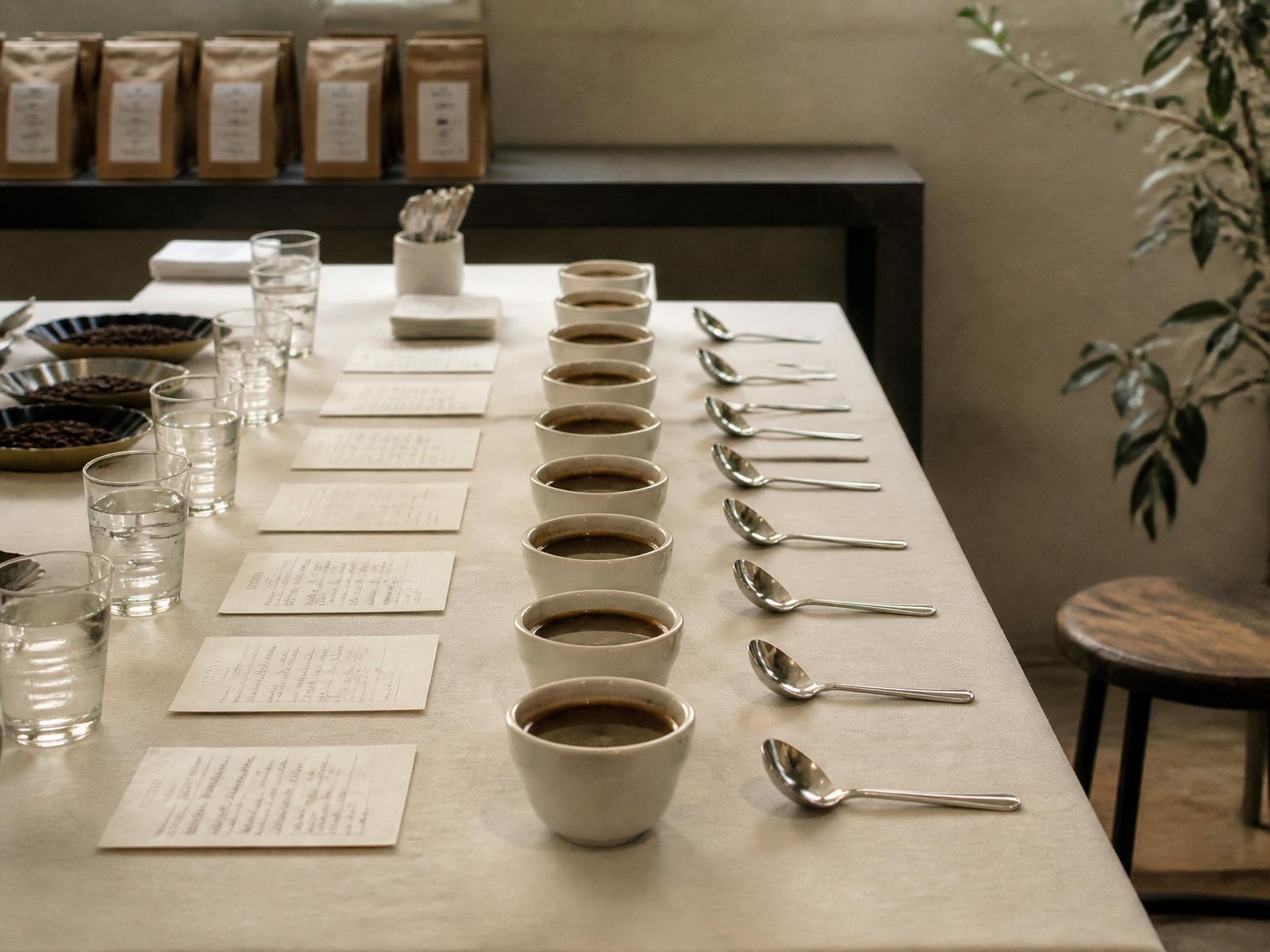 A cupping table set for tasting